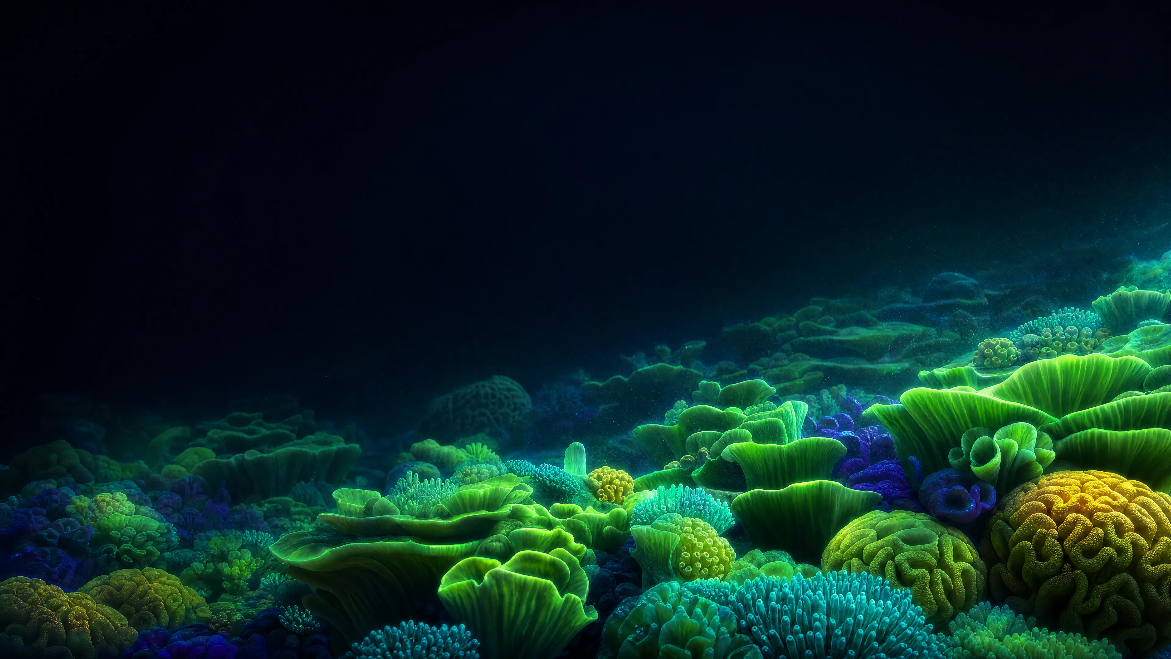 An Okinawan reef at night, fluorescing under ultraviolet light.